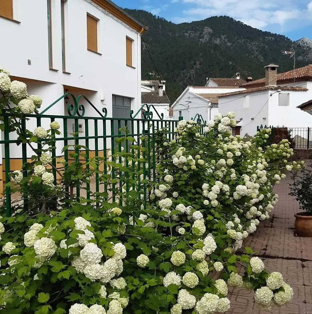 Albergue Ruta Rio Borosa Coto Ríos España